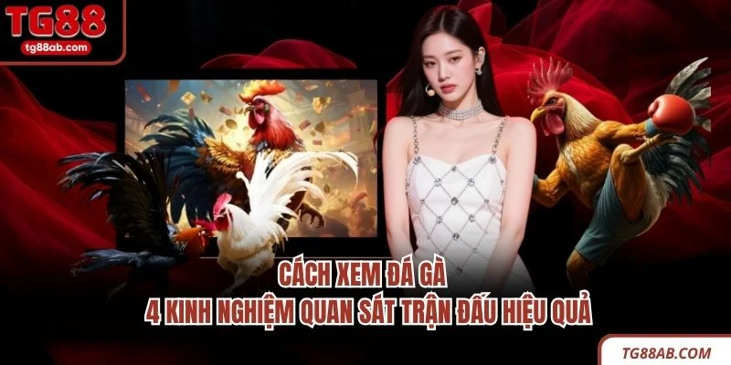 Cách Xem Đá Gà – 4 Kinh Nghiệm Quan Sát Trận Đấu Hiệu Quả 1 Cách Xem Đá Gà