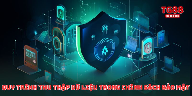 Chính Sách Bảo Mật TG88 – Cách Thu Thập & Sử Dụng Thông Tin 2 Quy trình thu thập dữ liệu trong chính sách bảo mật TG88