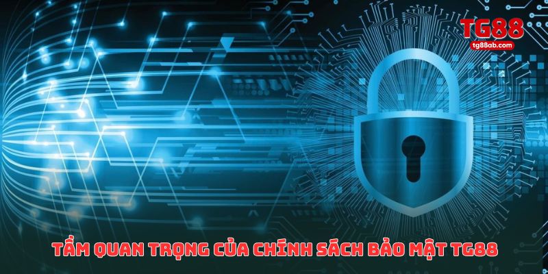 Chính Sách Bảo Mật TG88 – Cách Thu Thập & Sử Dụng Thông Tin 1 Tầm quan trọng của chính sách bảo mật TG88
