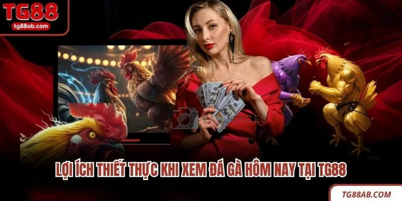 Đá Gà Hôm Nay TG88 - Địa Chỉ Xem Các Trận Đấu Hấp Dẫn 2 Lợi ích thiết thực khi xem đá gà hôm nay tại TG88
