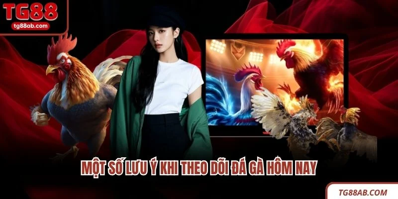 Đá Gà Hôm Nay TG88 - Địa Chỉ Xem Các Trận Đấu Hấp Dẫn 4 Một số lưu ý khi theo dõi đá gà hôm nay